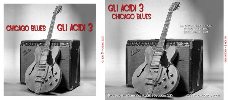 n004 gli acidi 3: chicago blues 2010